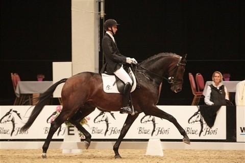 Se bl.a. Blue Hors Zack i finalen til JBK.
Han vandt 6 års kvalifikationen suverænt i Nr. Hostrup med 9,22 point.
På billedet er han som 4 års, hvor han blev nr. 3 i finalen.
