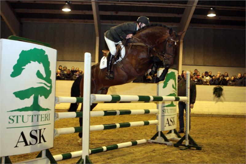 Cris Ask
(Foto: Ridehesten.com)