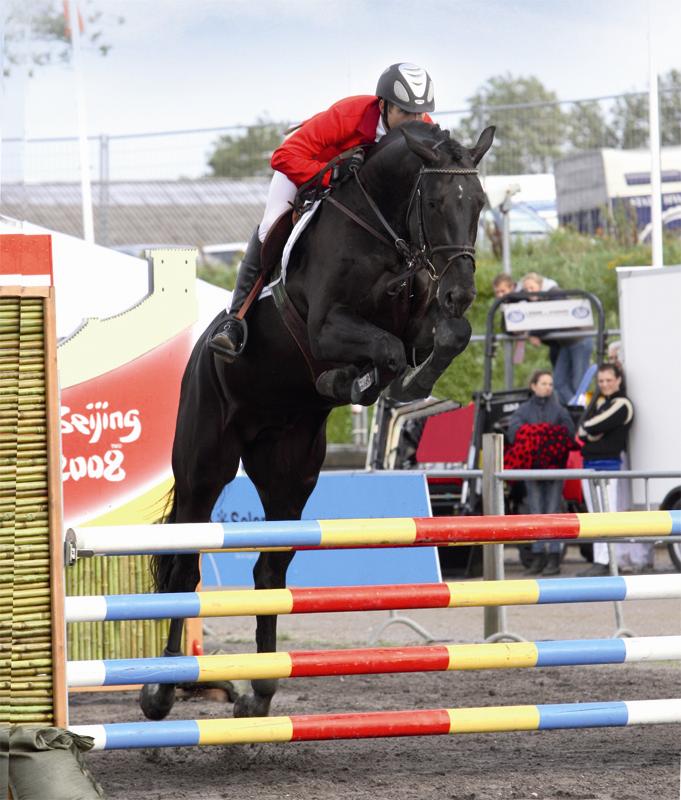Fløjhingsten Favorit Ask vandt kvall. i DRF springschampionat med 8,7 point, og er udtaget til ungheste VM i Zangersheide.