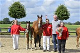 Fløj Stutteri Ask følchampionat
Hingsteføl Nio Lille Lunden
Far: Favorit Ask
Mor: Lacia Lille Lunden 
M.f.: Lacasir Ask
Mmf.: Fridericus Rex
Opdr.: Hanne og Preben Iversen, Randbøl