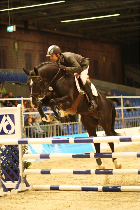 For Enjoy Ask i Herning. (Foto: Ridehesten.com)
