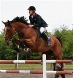 Cadeau Ask.
Efter Heide Ask og Calypso Ask.
Deltager i Zangersheide 2003