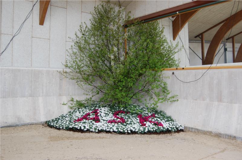 Flotte blomsterdekorationer på banen.
(Foto: LEH)