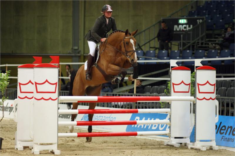 Grandy Ask.
Nr. 4 i Unghestechampionatet.
(Foto: Ridehesten.com)