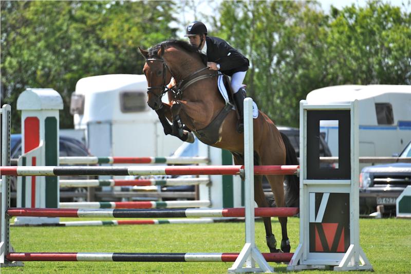 Krake Ask vandt blandt andet LA springcup på Allerupgård.
(Foto: Merete Bager)