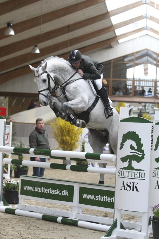 Ci Ci Senjor Ask, fløjhingst fra Herning 2010 viste også rigtig god springning.