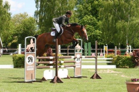 Grandy Ask e. Gipsy D'Ask blev placeret som nr. 4 
i Unghestechampionatet i marts måned og ligeledes placeret i finalen i DRF's springchampionat.
Han er nu også udtaget til VM for ungheste på Zangersheide sidste i september måned.