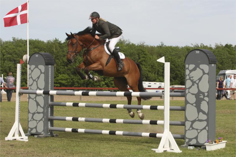 Hallie Ask. 820 point ved Egnethedstest, nr. 7 i Unghestechampionatet og nr. 5 i finalen i DRF's springchampionat. 