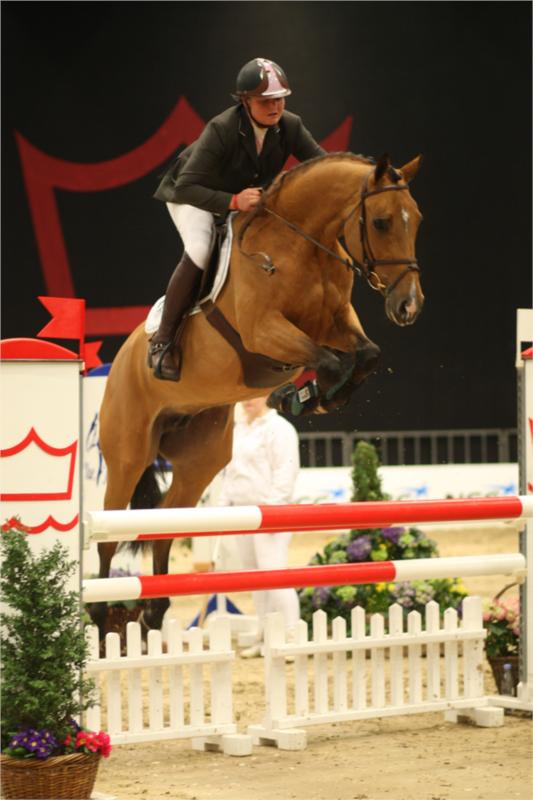 Hermione Ask.
Nr. 2 i Unghestechampionatet.
(Foto: Ridehesten.com)