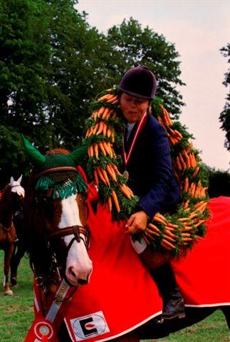 Heide Ask og Lone Kroman, Danmarksmester 1995