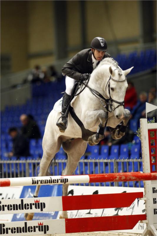 Også fløjhingsten Ci Ci Senjor Ask kan opleves på dagen.
(Foto: Ridehesten.com)