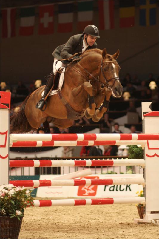 Lambrusco Ask.
Nr. 3 i MA springning.
(Foto: Ridehesten.com)