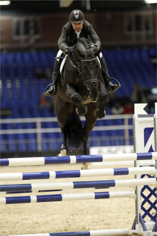 Favorit Ask. Vandt LA springning med 9,2 point.
(Foto: Ridehesten.com)