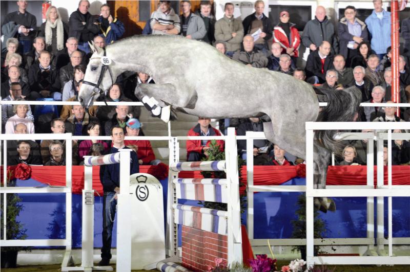 Le Champ Ask