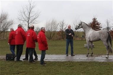 Le Champ Ask ved indsyningen til 10 dages testen